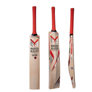 Premier Cricket Bat
